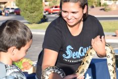 NNO 2016